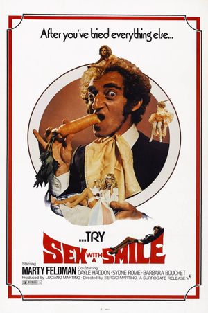 Sex with a Smile's poster