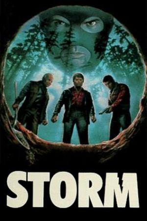 Storm's poster