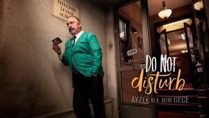 Do Not Disturb's poster