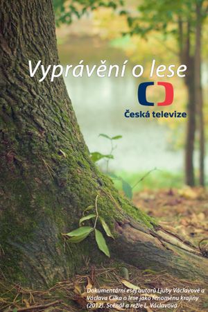 Vyprávění o lese's poster