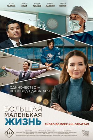 Big Little Life's poster