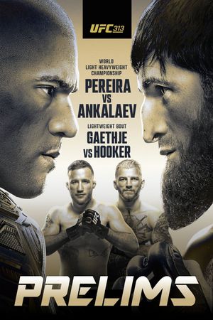 UFC 313: Pereira vs. Ankalaev's poster