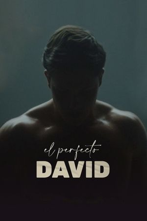 The Perfect David's poster