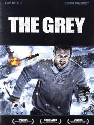 The Grey's poster