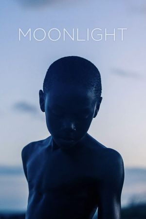 Moonlight's poster