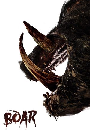 Boar's poster image