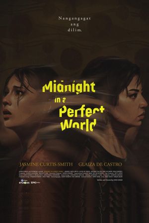 Midnight in a Perfect World's poster