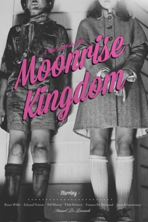 Moonrise Kingdom's poster