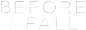 Before I Fall's poster