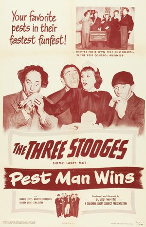 Pest Man Wins's poster