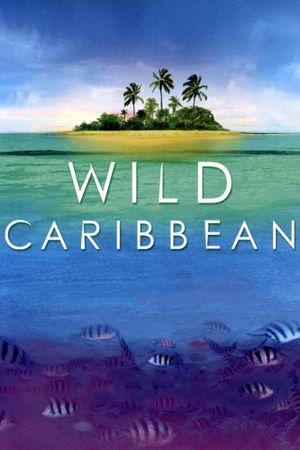 Wild Caribbean's poster