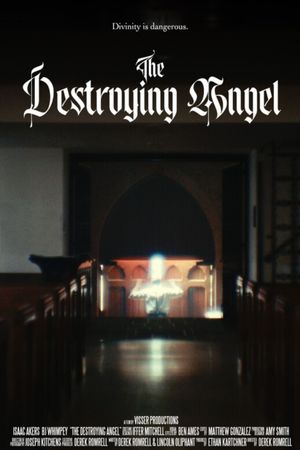 The Destroying Angel's poster