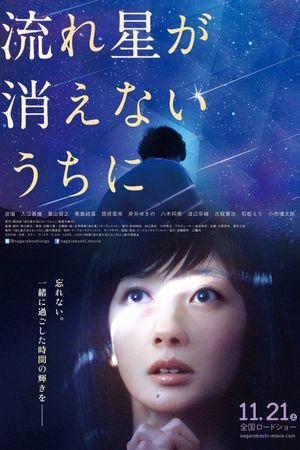 Before a Falling Star Fades Away's poster
