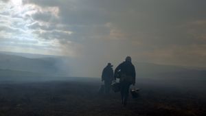 God's Own Country's poster