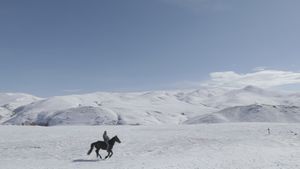 5 Dreamers and a Horse's poster