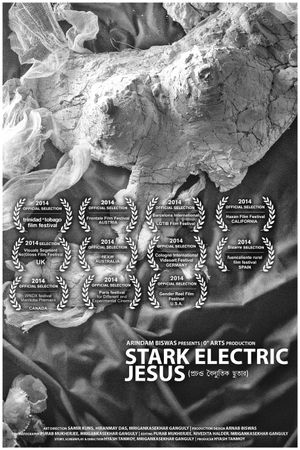 Stark Electric Jesus's poster image