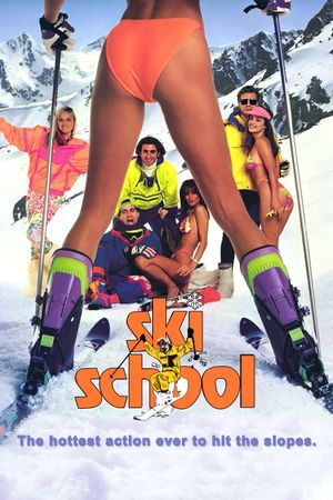Ski School's poster