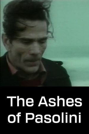 Le ceneri di Pasolini's poster
