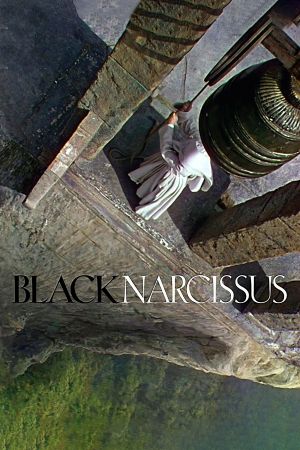Black Narcissus's poster