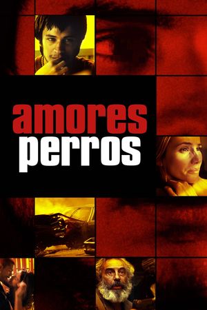 Amores Perros's poster