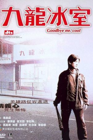 Goodbye, Mr. Cool's poster