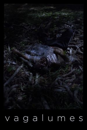 Fireflies's poster
