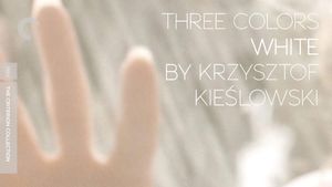 Three Colors: White's poster
