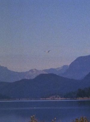 Landscape's poster