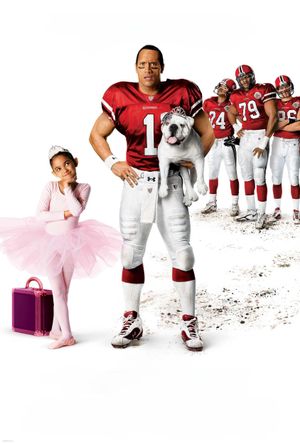 The Game Plan's poster