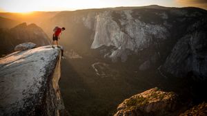 Free Solo's poster