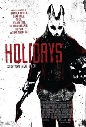 Holidays's poster