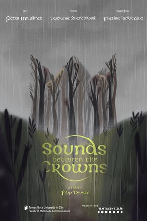 Sounds Between the Crowns's poster