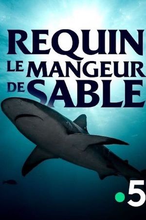 Requin - Le mangeur de sable's poster