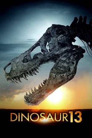 Dinosaur 13's poster