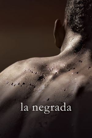 Black Mexicans's poster
