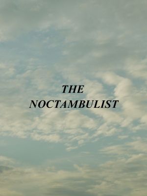The Noctambulist's poster
