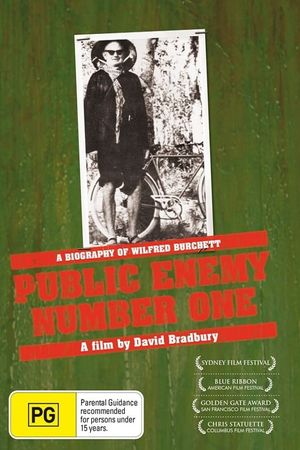 Public Enemy Number One's poster