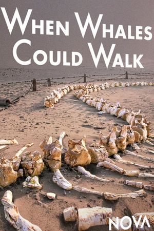 When Whales Could Walk's poster image