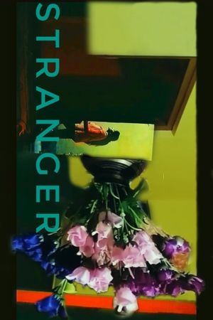 Stranger's poster