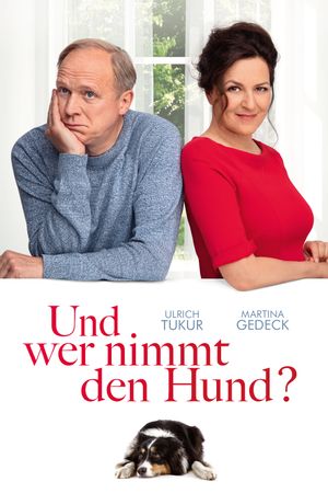 Lost in Separation's poster