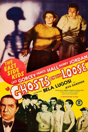 Ghosts on the Loose's poster image