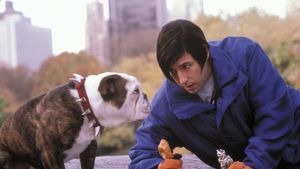 Little Nicky's poster