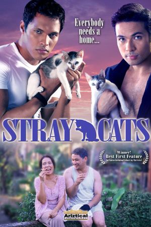 Stray Cats's poster