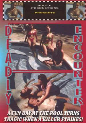 Deadly Encounter's poster