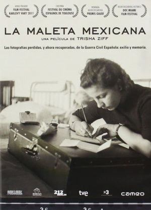 La maleta mexicana's poster