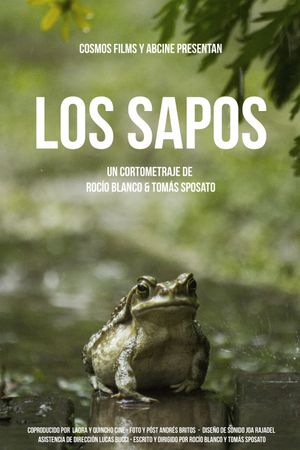 Los sapos's poster