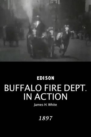 Buffalo Fire Department in action's poster