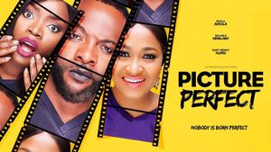 Picture Perfect's poster