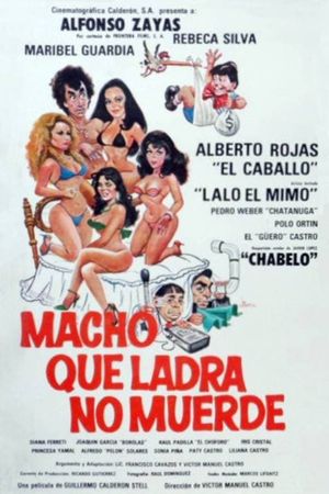 Macho que ladra no muerde's poster