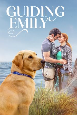 Guiding Emily's poster